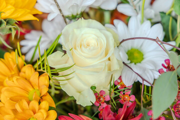 bouquet of flowers