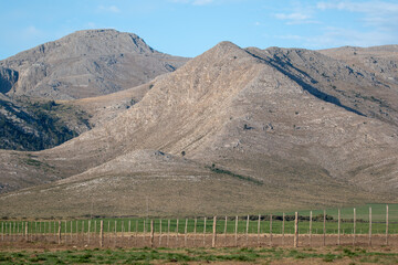 La naturaleza nos conecta, caminatas o pasar el día en las sierras o frente al lago