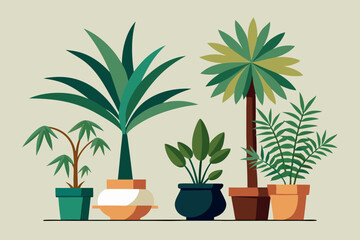 Obraz premium Decorative palm trees in pot vector illustration