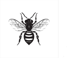 insect, fly, cartoon, bee, animal, bug, nature, macro, isolated, illustration, vector, wing, wasp, flying, black, wings, beetle, green, wildlife, cute, small, close-up
