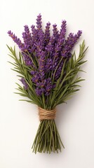 Obraz premium Fresh Lavender Bouquet with Rustic Twine Purple Flowers Green Stems Isolated on White