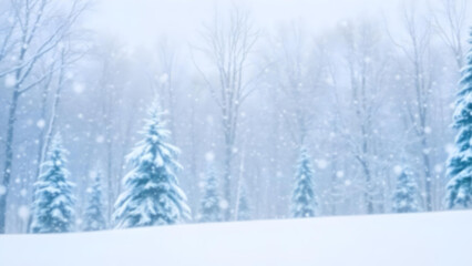Fototapeta premium 4K winter blurred background with pine trees forest and falling snow. 