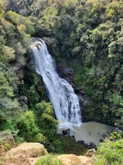 Obraz premium waterfall in the forest