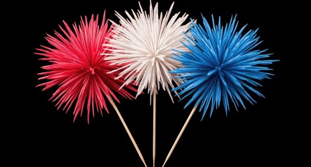 Colorful fireworks display against a black background