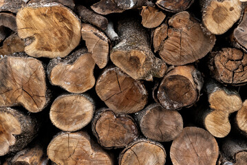 Pile of logs for firewood