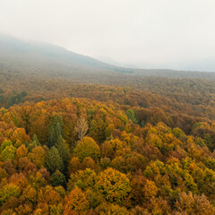 Fototapeta premium Drone shot of a forest in Italy during a beautiful October day when the trees are turning rusty and the autumn vibes surrounds everything.