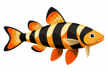 Clown loach fish vector illustration