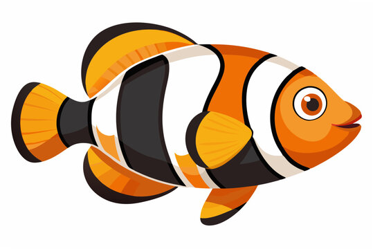 recommend clip art: Saddleback clownfish vector illustration