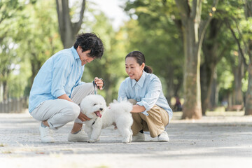 犬の散歩をする夫婦・愛犬家・飼い主・ペットシッター・家族
