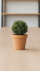Fototapeta premium Small Potted Plant on Wooden Table in Minimalist Office Setting