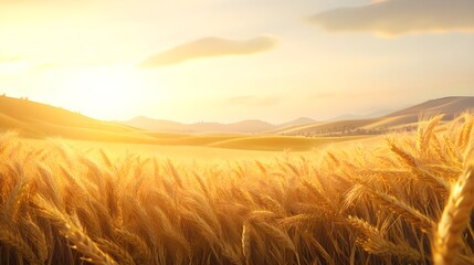 Obraz premium A serene 3D illustration of golden wheat ears in an organic field, moving gracefully with the wind, surrounded by a scenic backdrop of rolling hills and clear skies 