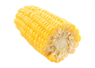 Piece of fresh corncob isolated on white