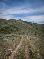 Two track ATV trail through  hills in Wasatch Mountain Range in Spanish Fork Canyon in Uinta National Forest