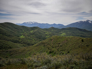 Naklejka premium Wide view of two track ATV trail through hills in Wasatch Mountain Range in Spanish Fork Canyon in Uinta National Forest