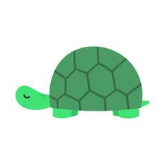 Save turtle illustration