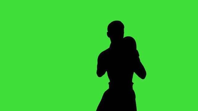 An animated silhouette of a boxing character in an attacking stance with a green screen background. The scene captures aggressive motion and power, perfect for compositing, action sequences, and motio