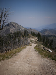 Obraz premium Steep dirt road in Sawtooth Mountain Range near Stanley Idaho for four wheeling