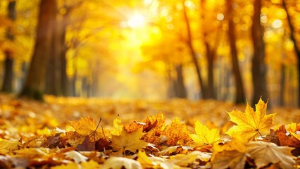 Golden Sunbeams Filtering Through Autumn Leaves, Creating A Warm Glow on the Forest Floor