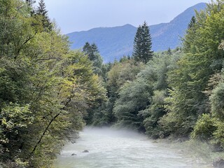 The Soča river near Bovac with its wooded shore (Bovec, Slovenia) - Der Fluss Soca bei Bovec mit einem bewaldeten Ufer (Bovec, Slowenien) - Reka Soča pri Bovcu z gozdnatim bregom (Bovec, Slovenija)