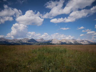 Fototapeta premium View through grassy meadow of Madison Mountain range peaks by Bozeman Montana in summer with blue sky
