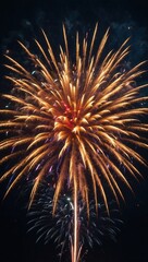 Burst of colorful fireworks lighting up the sky in shades of red, orange, yellow