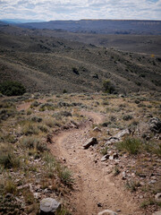 Downhill mountain bike trail through Gunnison Colorado in Hartman Rocks Recreation Area 