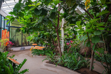 The bird exhibit pathway is a journey where every step brings you closer to the wonders of flight and freedom, Audubon Zoo, New Orleans, Louisiana, United States of America