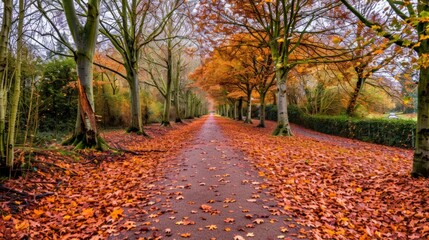 Obraz premium Autumnal Pathway Through a Canopy of Orange Leaves