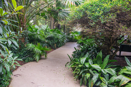 The zoo walkway isn&rsquo;t just a path&mdash;it&rsquo;s an invitation to embrace the wonders of the natural world, Audubon Zoo, New Orleans, Louisiana, United States of America