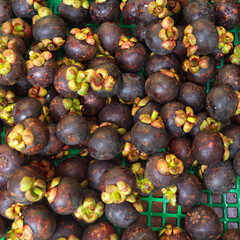 Mangosteen is a tropical evergreen tree, a species of the family Hibiscus, native to the Malay Archipelago. It is a delicious tropical fruit.
