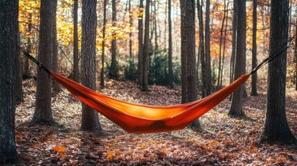 Hammock in the woods, tranquil, shaded, breezy, relaxing, leafy, mirrorless, midday