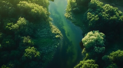 Fototapeta premium Aerial View of River Flowing Through Lush Green Forest