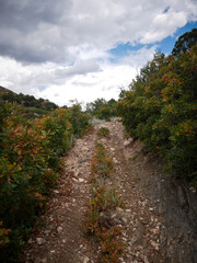 Rocky ATV trail through Texas Creek Recreation Area in central Colorado 