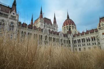Fototapeta premium Golden grasses frame the building of Hungarian Parliament Building in Budapest, Hungary. Ornate facade with carvings and statues. Architectural heritage. Towering spires and Gothic arches with majesty