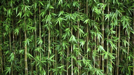 Obraz premium A beautiful bamboo wall with vertical branches, creating a natural and serene backdrop. The detailed texture of bamboo adds elegance. Realistic, very detailed