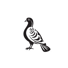 Vector pigeon silhouette icon on white