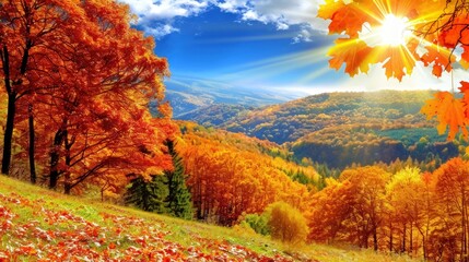 Fototapeta premium Autumnal Forest Landscape with Sunbeams