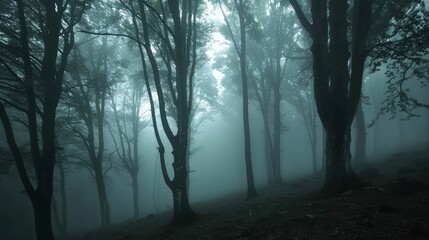 Fototapeta premium Ghostly Forest with Dark Shadowy Trees
