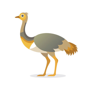 recommend clip art: Rhea animal isolated flat vector illustration on white background