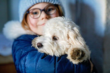 Little girl playing with her pet dog Maltese at home. Happy child holding cute puppy. Love, friendship, family animal.