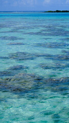 Beautiful turquoise crystal clear ocean water and coral reef in lagoon on Mo'orea, Tahiti in French Polynesia, South Pacific