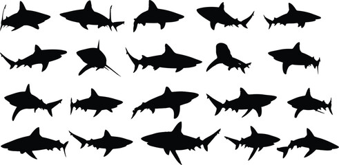 set of silhouettes of shark