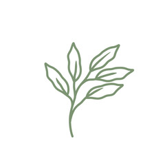Colored line art leaf illustration 