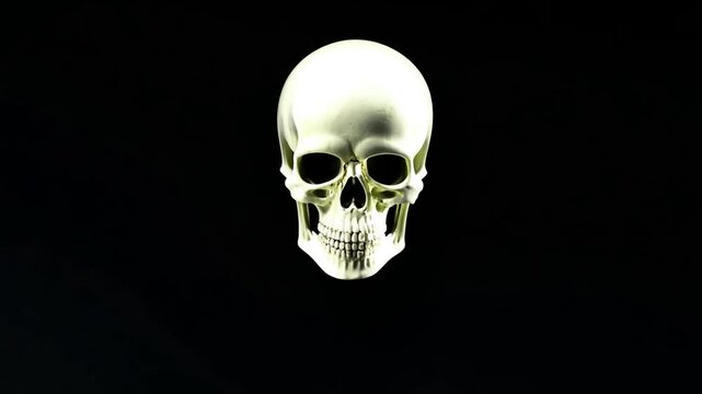 White sceleton on black background. Generative AI