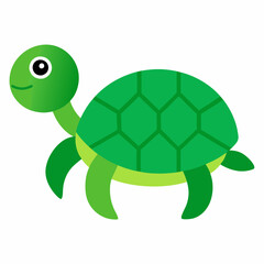 turtle illustration