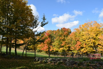 Naklejka premium Fall in New England. The Horizons