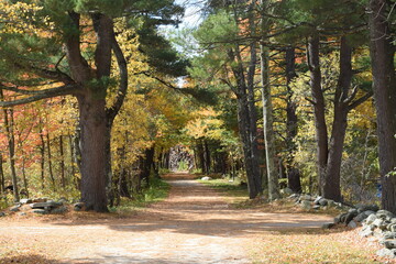 Fall in New England. The Horizons