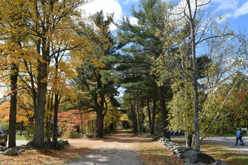 Naklejka premium Fall in New England. The Horizons