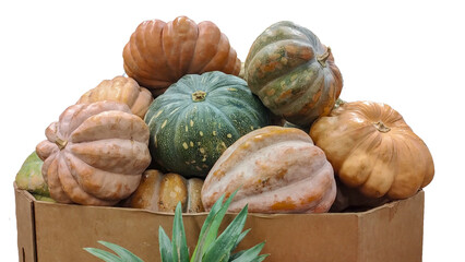 Box full of big pumpkins, for Halloween, no background.