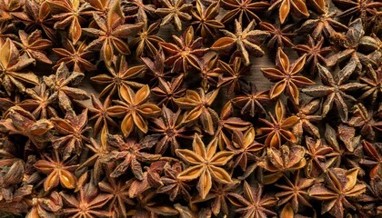 Star anise pods background, creating a rich and textured surface.